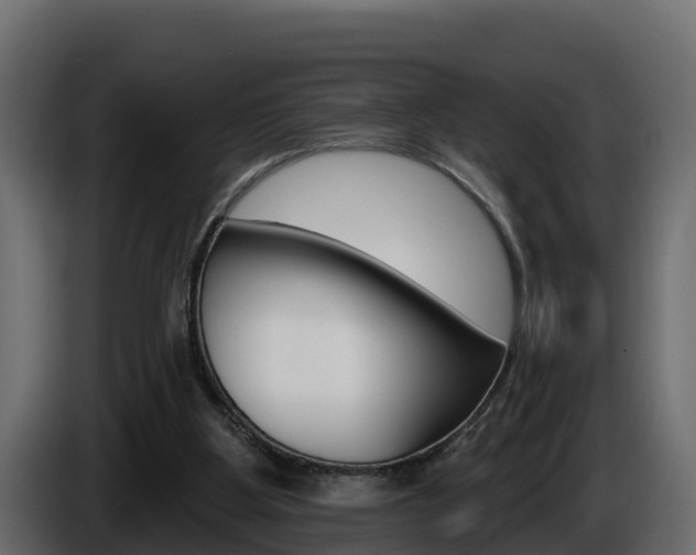 X0000086020107200703230941
