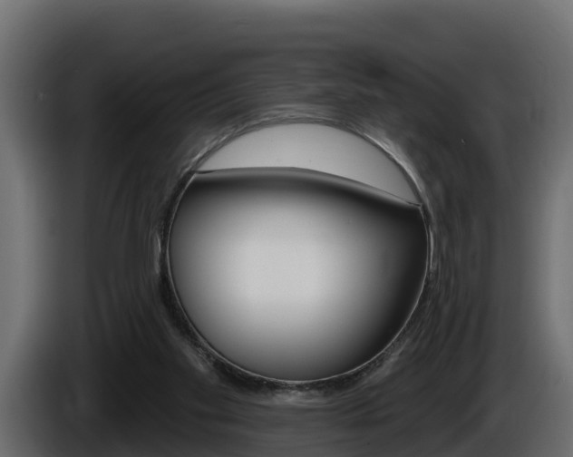 X0000086020109200703230941