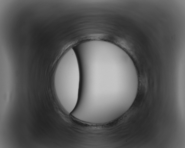 X0000086020110200703230941