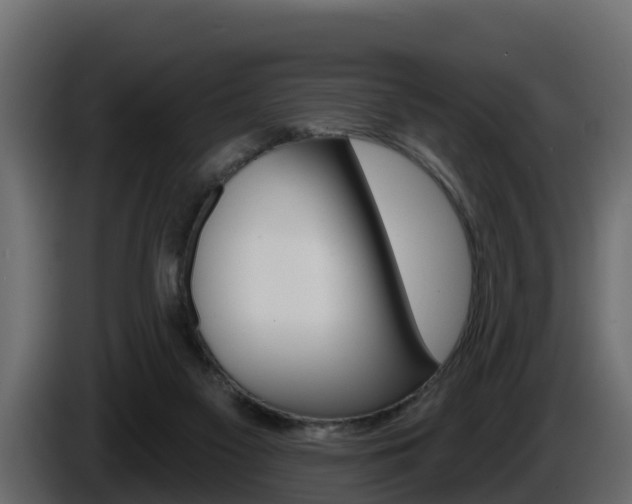 X0000086020117200703230941