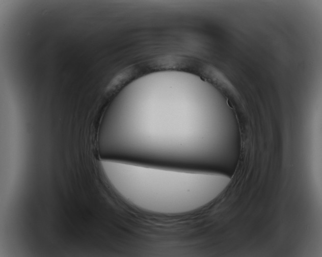 X0000086020119200703230941
