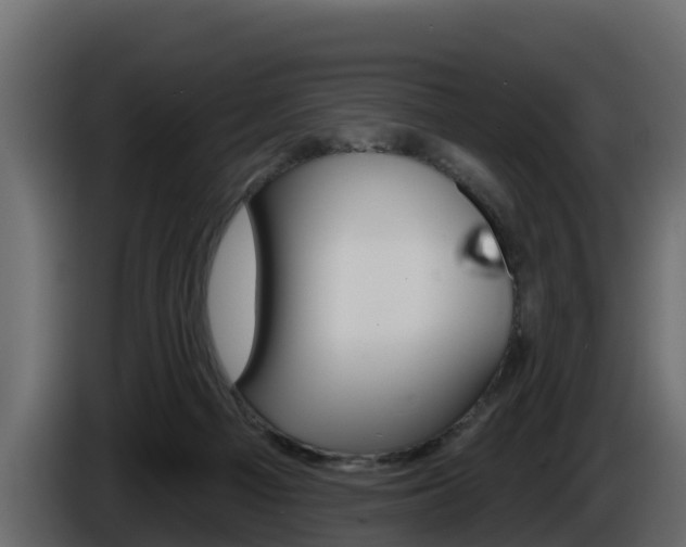 X0000086020121200703230941