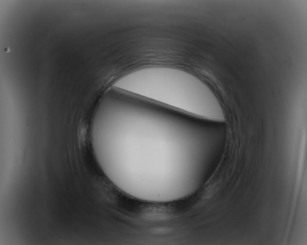 X0000086020123200703230941