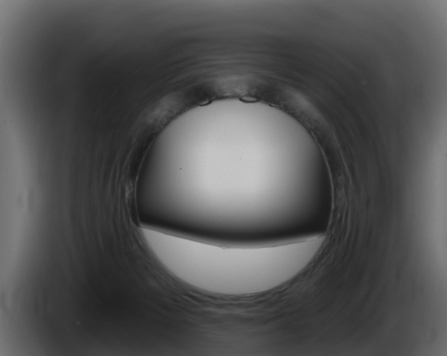 X0000086020125200703230941