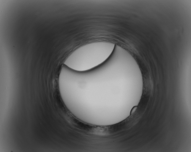 X0000086020126200703230941