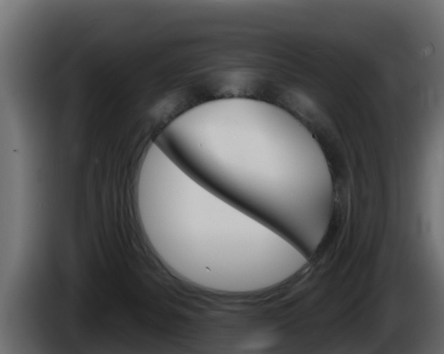 X0000086020127200703230941