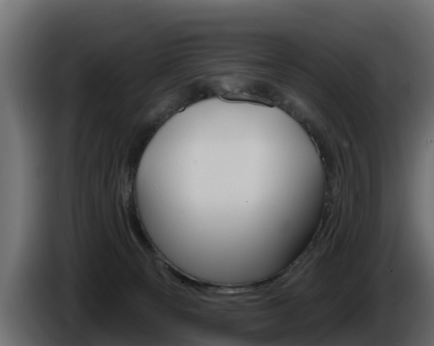 X0000086020129200703230941
