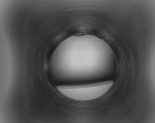 X0000086020137200703230941