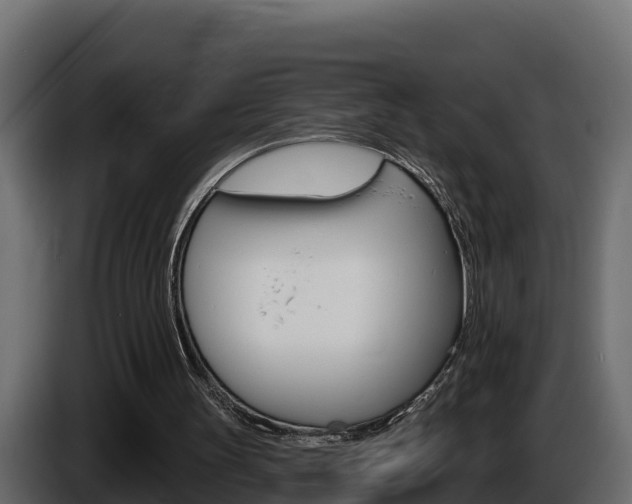 X0000086020147200703230940