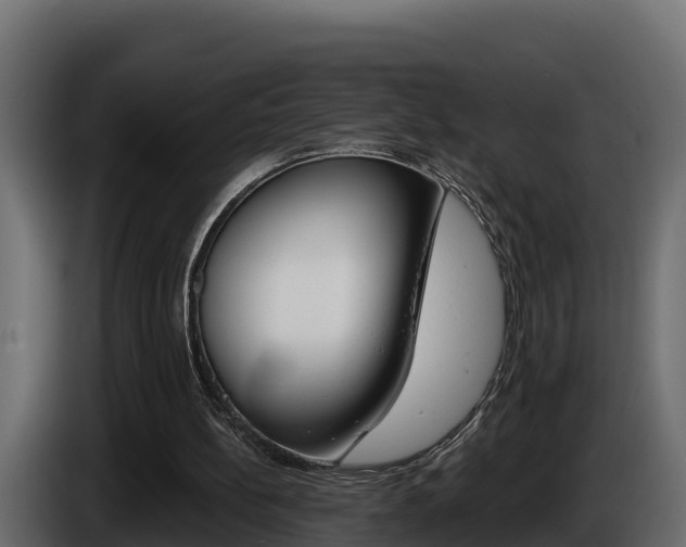 X0000086020148200703230940