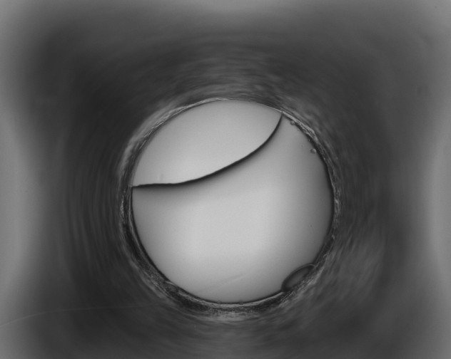 X0000086020149200703230940