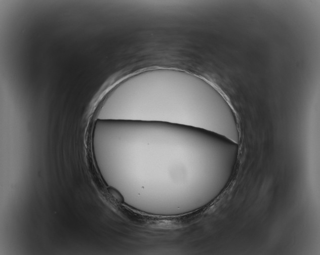 X0000086020151200703230940