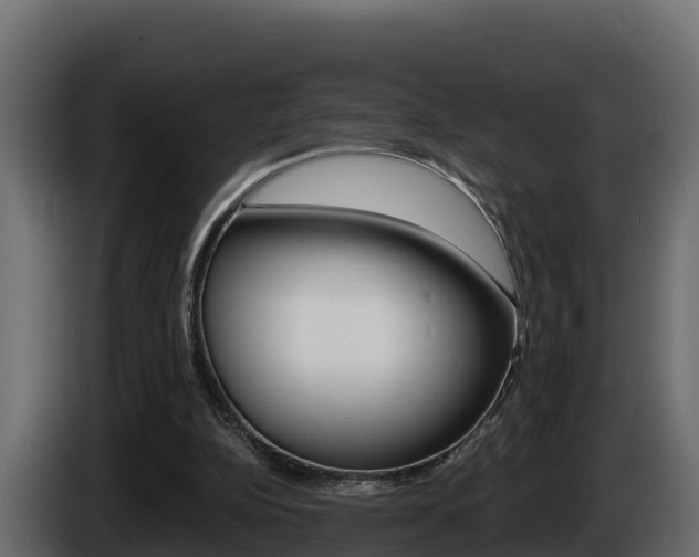 X0000086020152200703230940