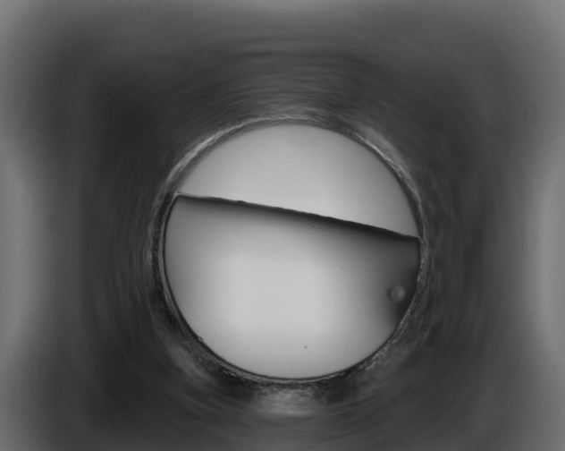 X0000086020155200703230940