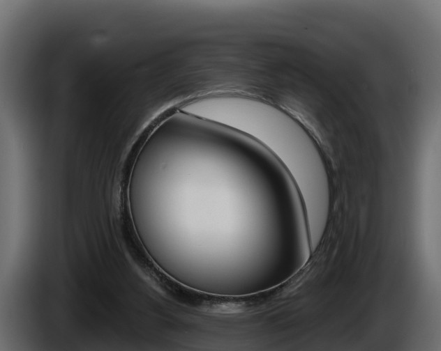 X0000086020156200703230940