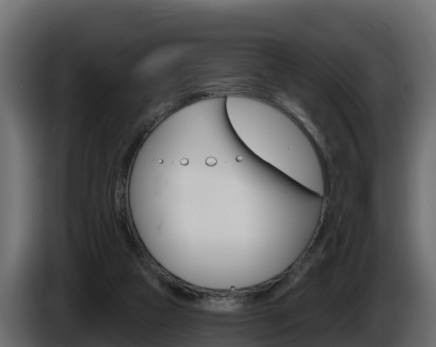 X0000086020161200703230940