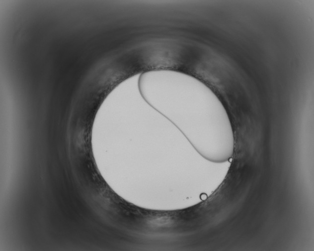 X0000086020162200703230940