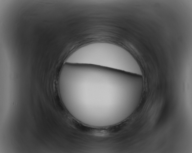 X0000086020169200703230940