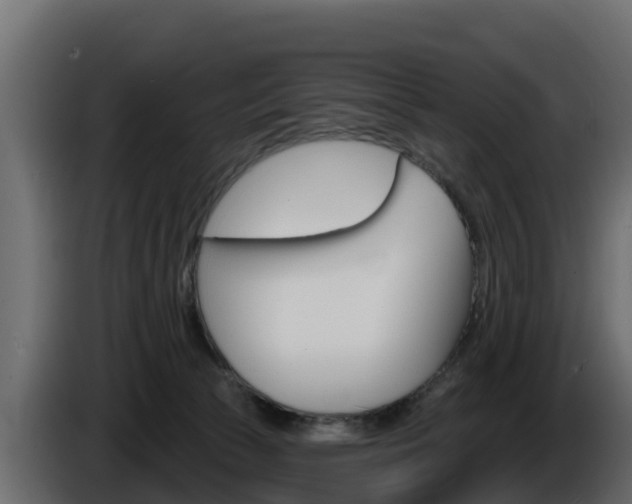 X0000086020177200703230940