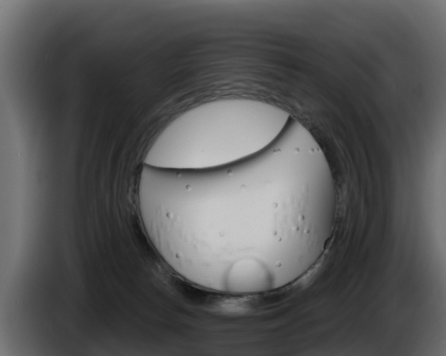 X0000086020178200703230940