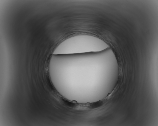 X0000086020179200703230940