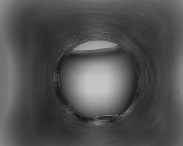 X0000086020184200703230941