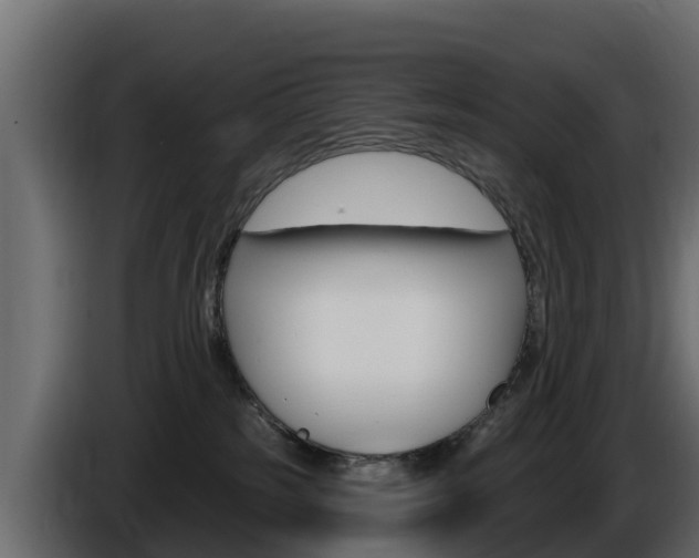 X0000086020185200703230941