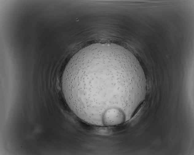 X0000086020187200703230941
