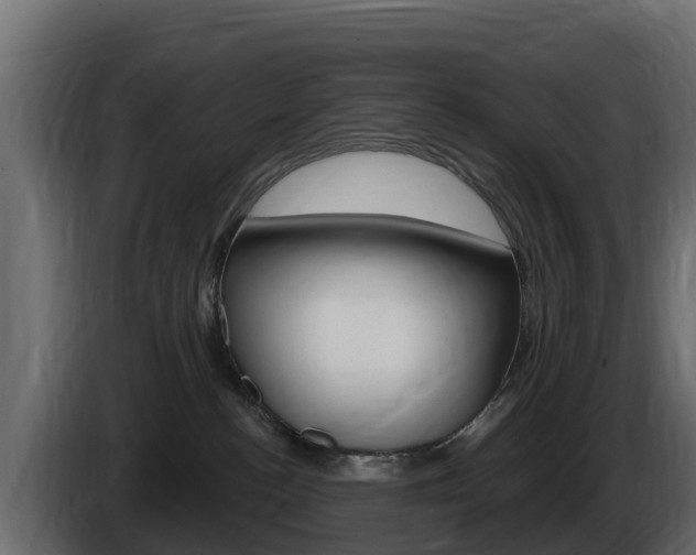 X0000086020188200703230941