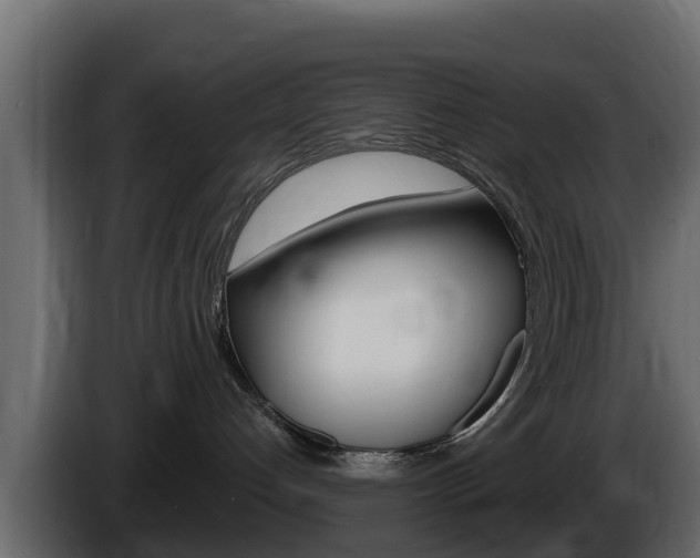 X0000086020192200703230941