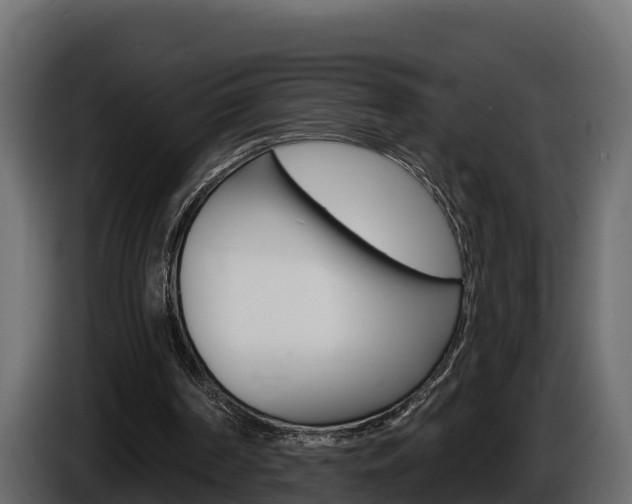 X0000086020194200703230940