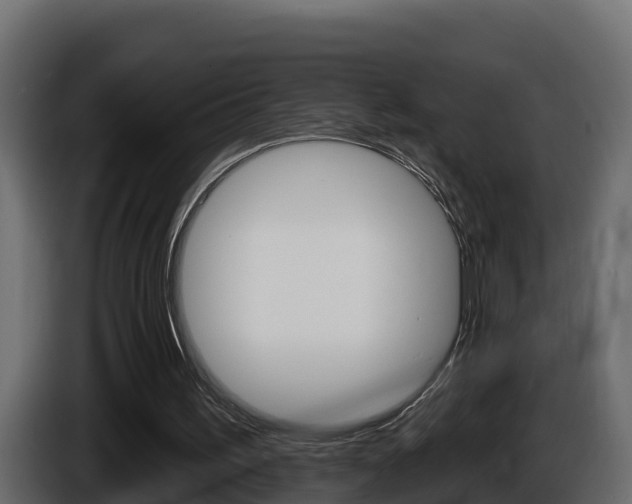 X0000086020195200703230940
