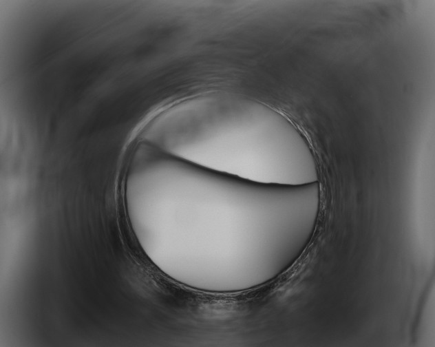 X0000086020196200703230940