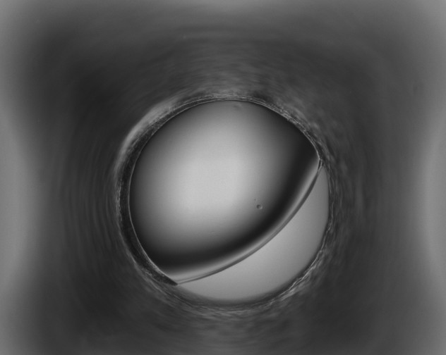 X0000086020197200703230940
