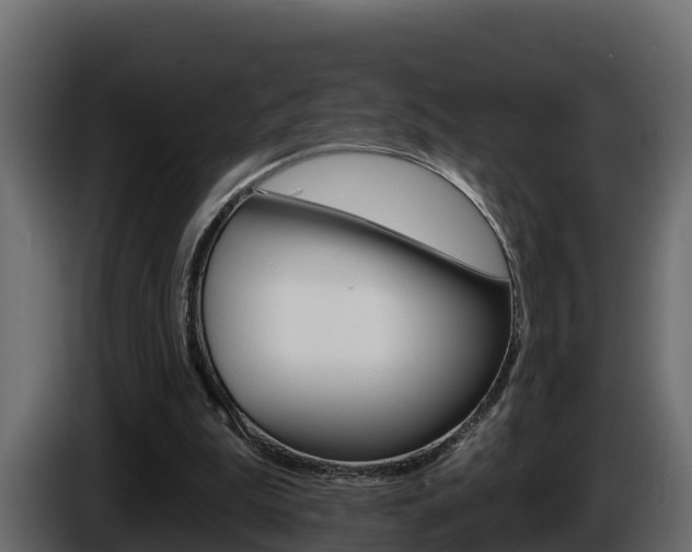 X0000086020199200703230940
