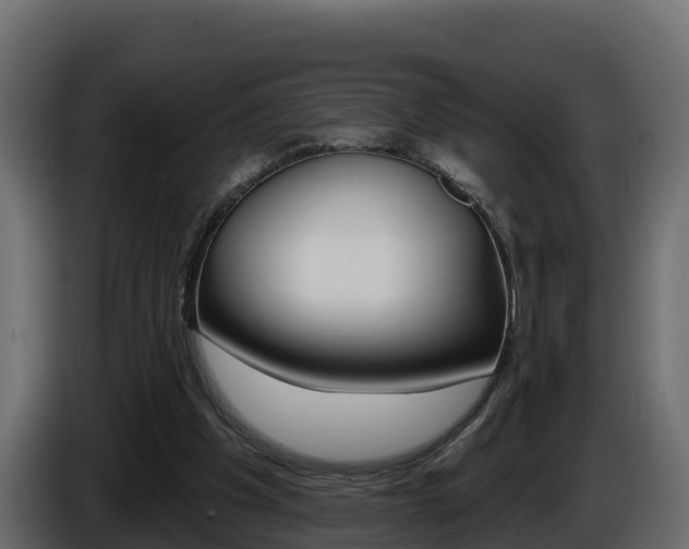 X0000086020201200703230940
