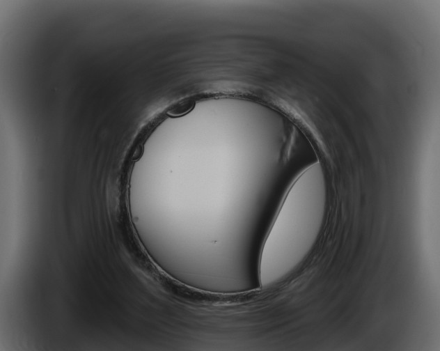 X0000086020204200703230940
