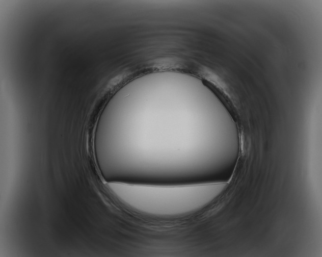 X0000086020205200703230940