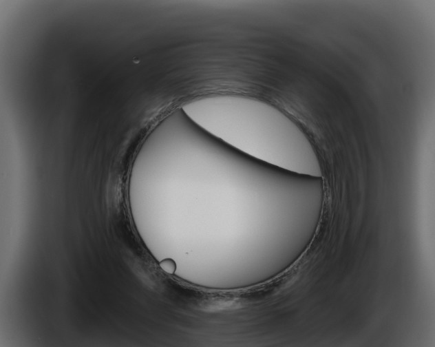 X0000086020206200703230940