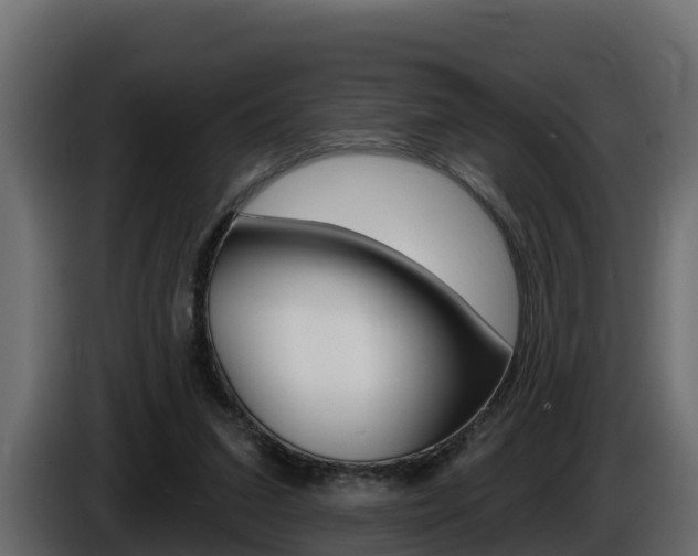 X0000086020207200703230940