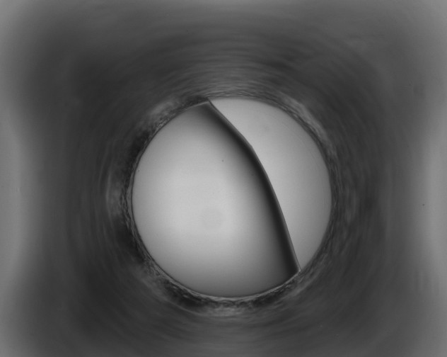 X0000086020209200703230940