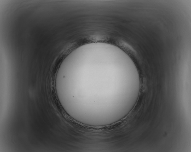 X0000086020210200703230940