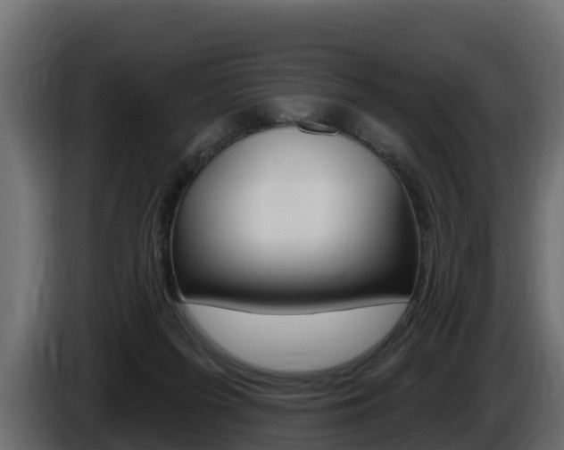 X0000086020215200703230940