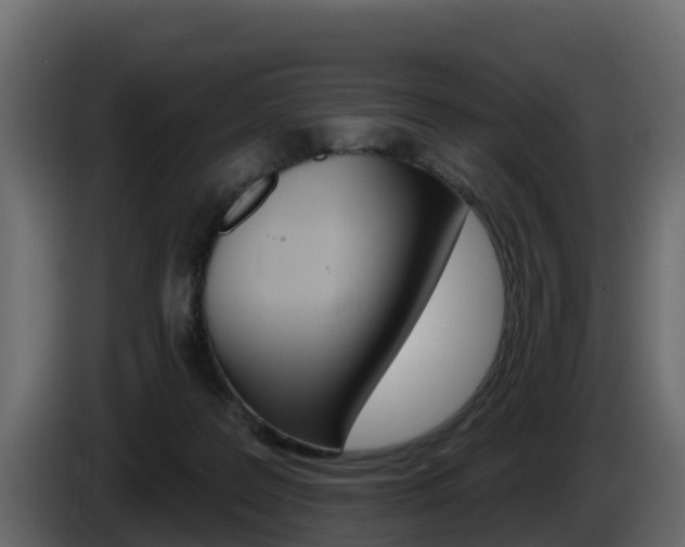 X0000086020219200703230940