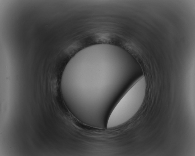 X0000086020223200703230940
