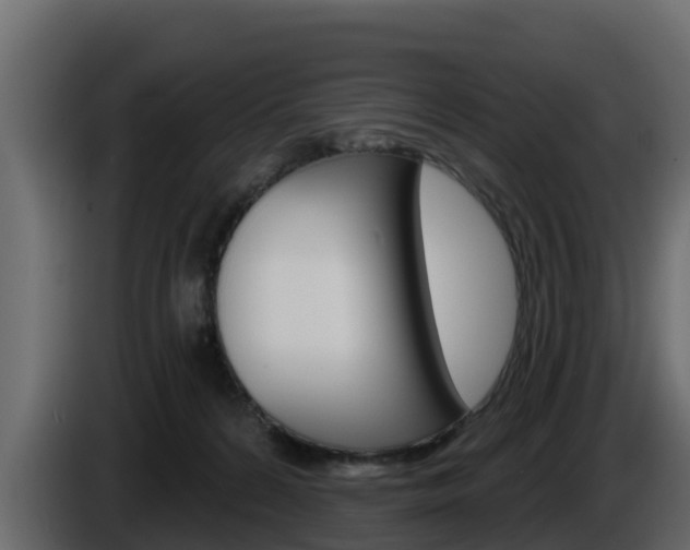 X0000086020224200703230939