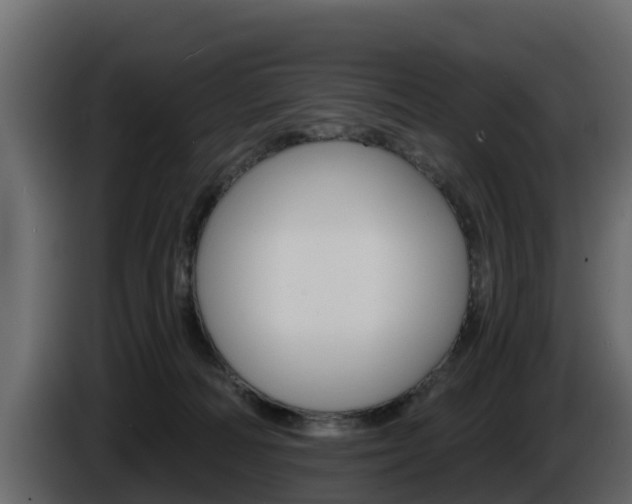 X0000086020226200703230939