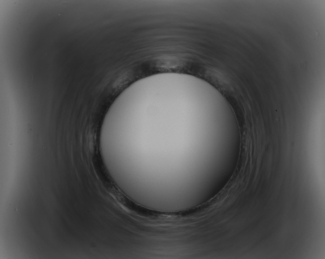 X0000086020227200703230939