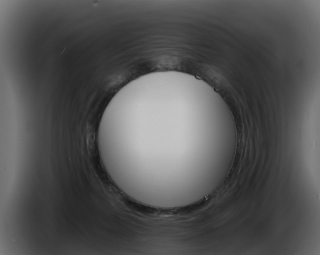X0000086020228200703230939