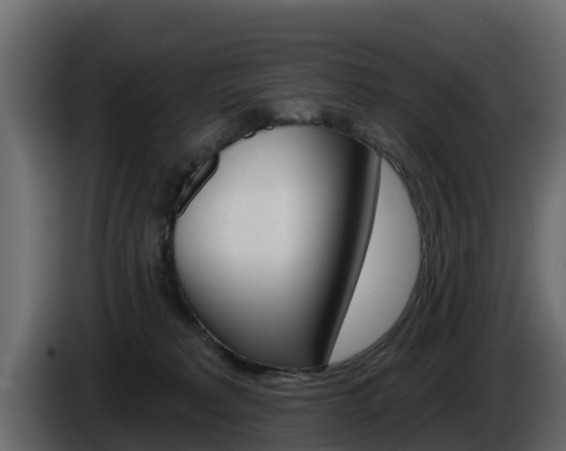 X0000086020229200703230939